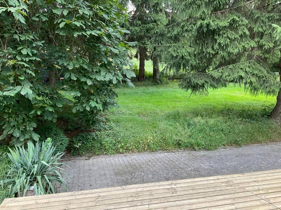 Wohnung In Idyllischem Oertchen Meschede Ngoại thất bức ảnh